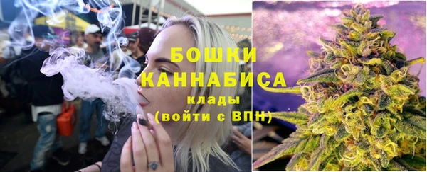 крисы Белокуриха