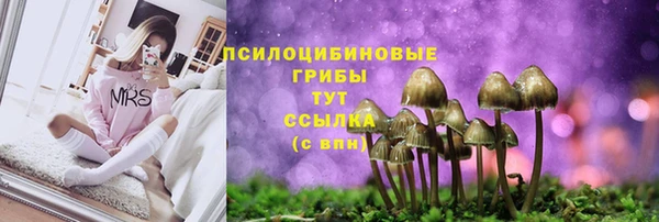 кокаин Богданович
