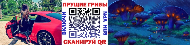 Псилоцибиновые грибы Cubensis  Балабаново 